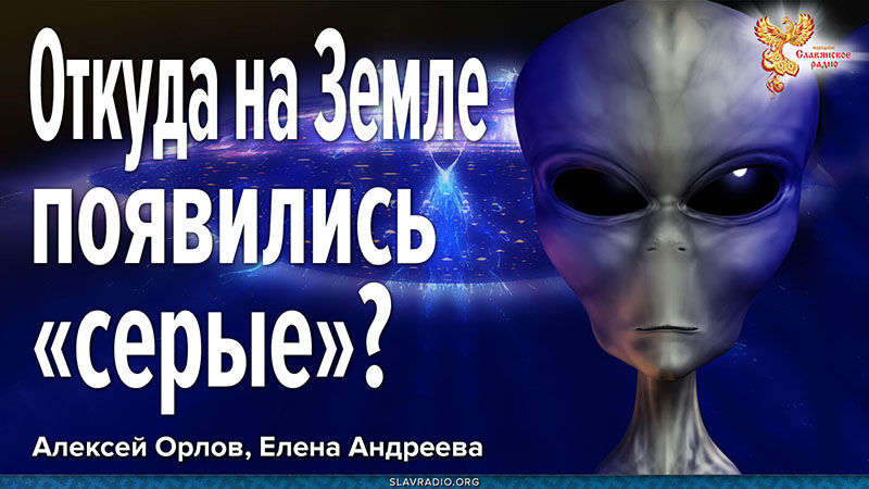 Откуда на Земле появились &laquo;серые&raquo;?