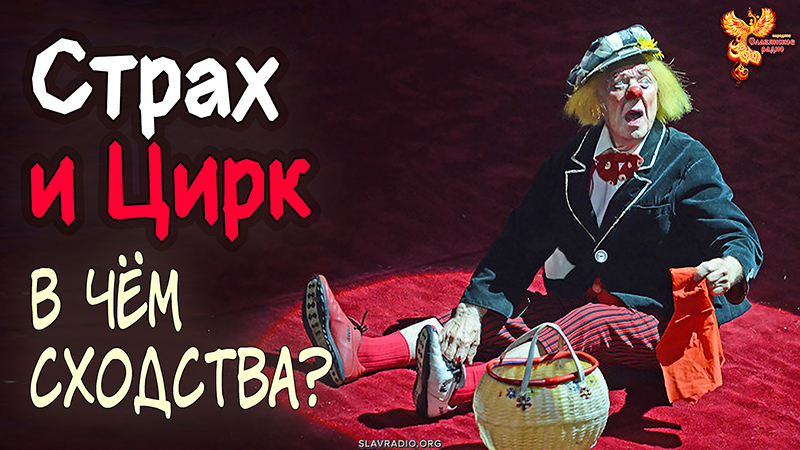 Страх и цирк. В чём сходства?