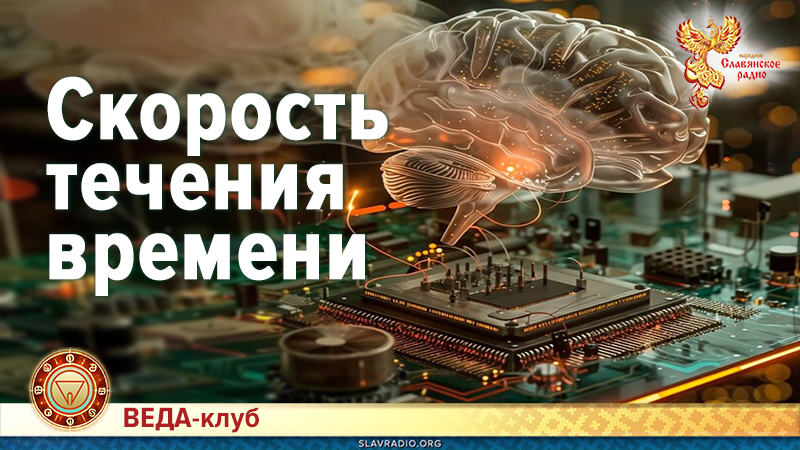 Скорость течения времени