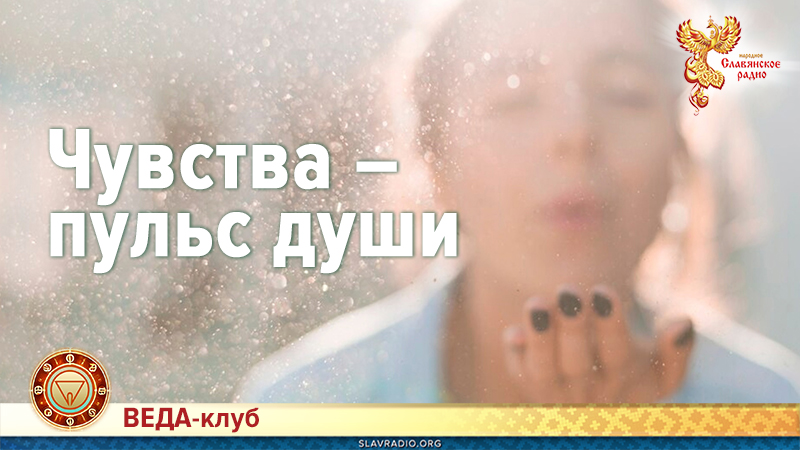 Чувства &ndash; пульс души