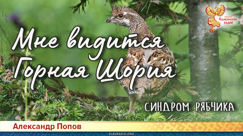 Мне видится Горная Шория. Синдром рябчика
