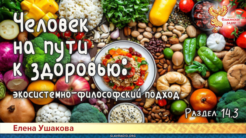 Человек на пути к здоровью: экосистемно-философский подход. Раздел 14. Питание. Часть 3