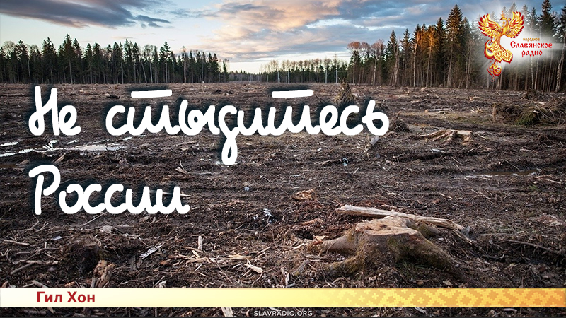 Не стыдитесь России