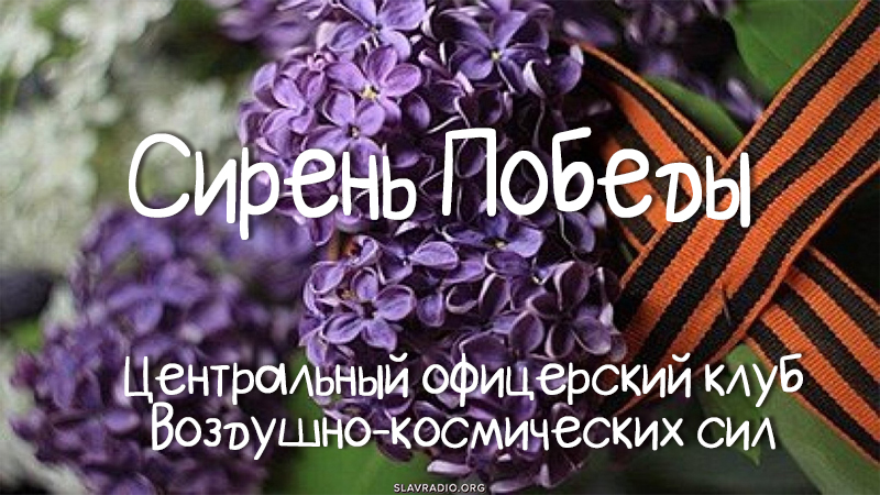 Сирень Победы