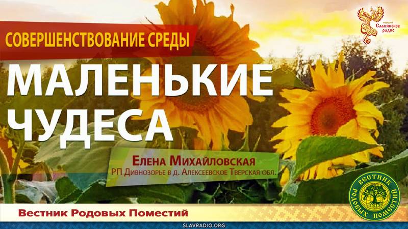 Маленькие чудеса