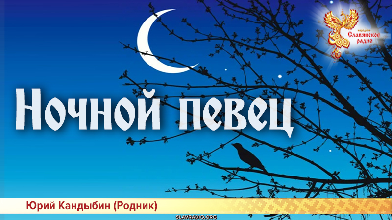 Ночной певец 
