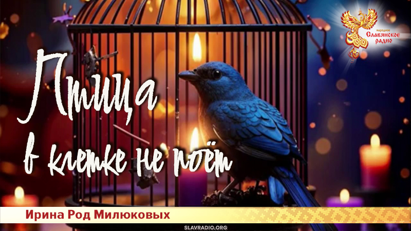 Песня: Птица в клетке не поёт