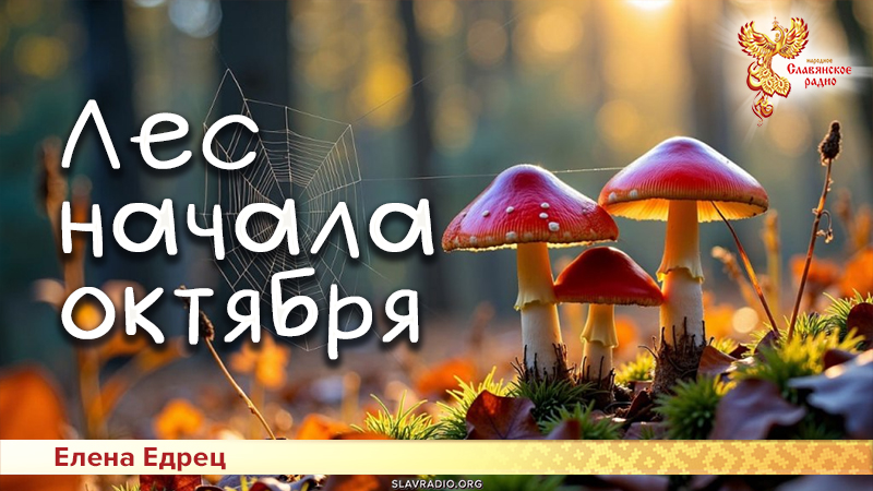 Лес начала октября
