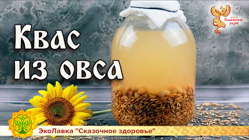 Квас из овса