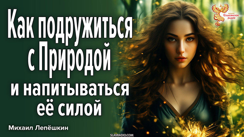 Как подружиться с Природой и напитываться её силой