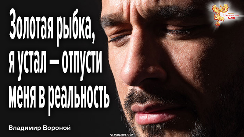 Золотая рыбка, я устал &mdash; отпусти меня в реальность