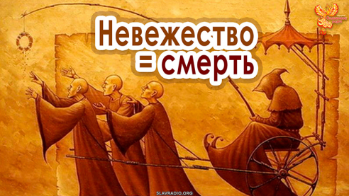 Невежество = Смерть