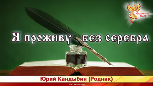 Я проживу без серебра