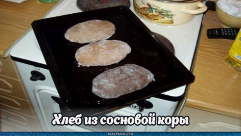 Хлеб из сосновой коры