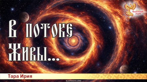 В потоке Живы...