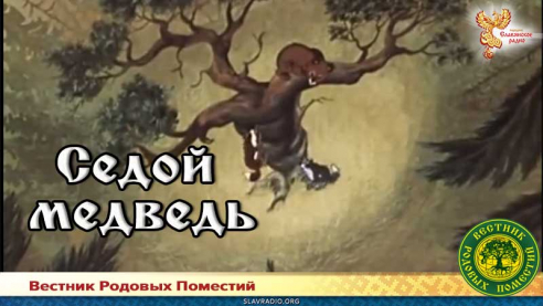 Седой медведь