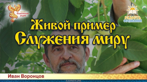 Наглядный пример Служения миру