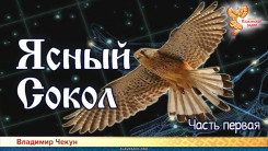 Ясный Сокол. Часть первая