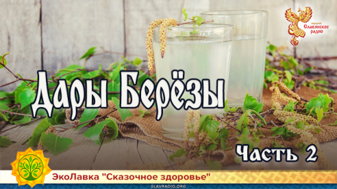Дары Берёзы. Часть 2
