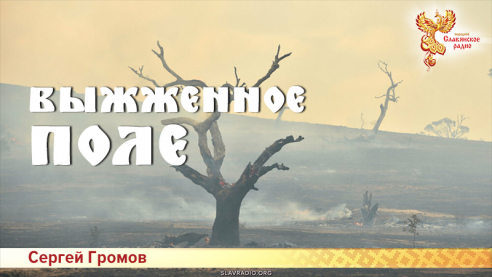 Выжженное поле 
