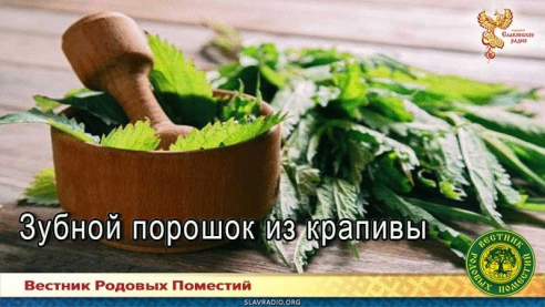 Зубной порошок из крапивы