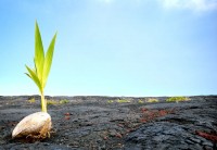 Живая беседа о Жизни