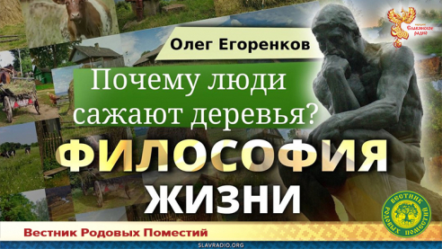 Почему люди сажают деревья?