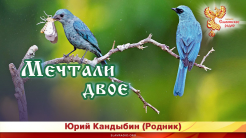 Мечтали двое 