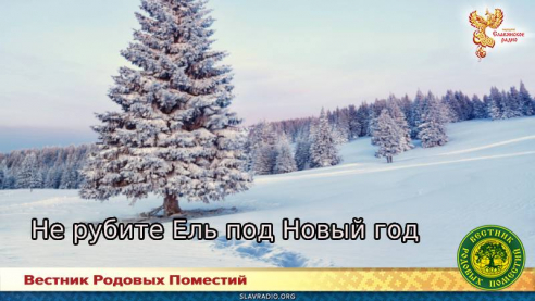 Не рубите Ель под Новый год
