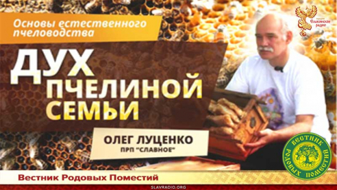 Основы естественного пчеловодства