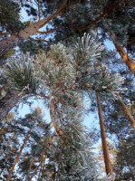 Евгений  Дунаев