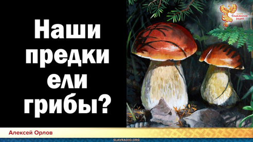 Наши предки ели грибы?