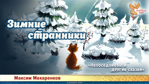 Зимние странники