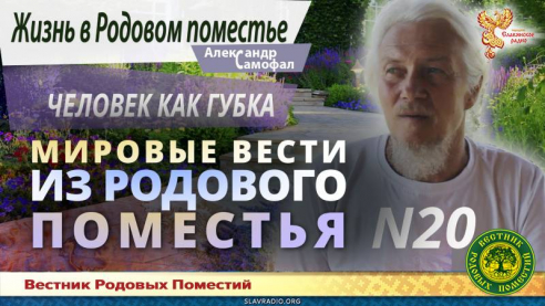 Мировые вести из Родового поместья №20