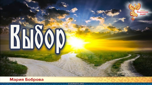 Выбор 