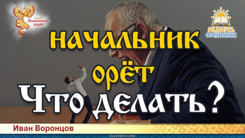 Что делать когда начальник орёт?