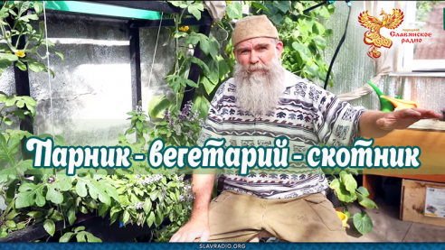 Парник - вегетарий - скотник 