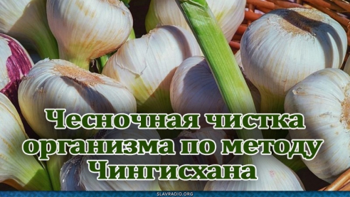 Чесночная чистка организма по методу Чингисхана