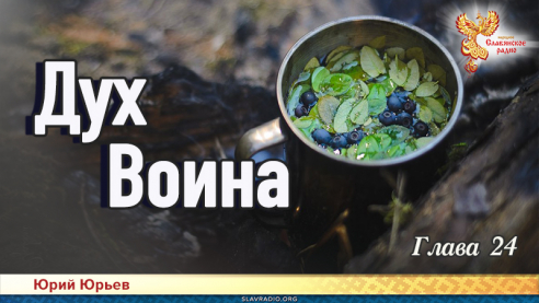Дух воина. Часть вторая. Глава 24