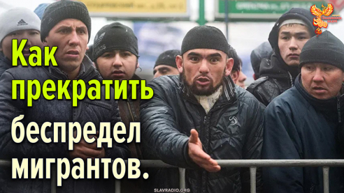  Как прекратить беспредел мигрантов?