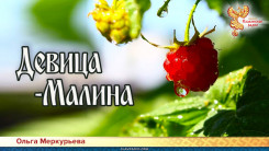 Девица-Малина