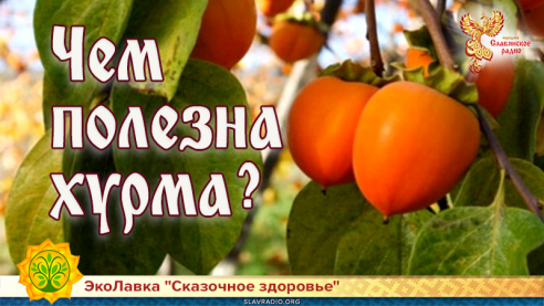 Чем полезна хурма?