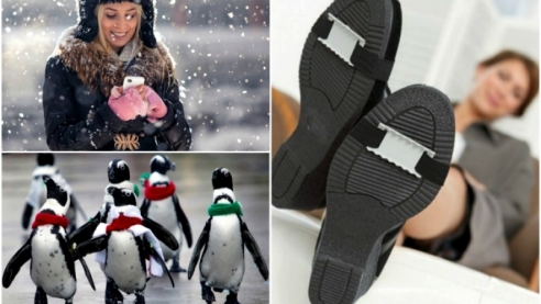 12 простых советов, которые помогут пережить гололед без падений и ушибов