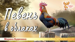 Певень в облаках