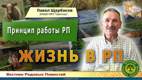 Принцип работы в РП