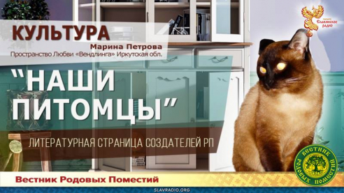 Наши питомцы