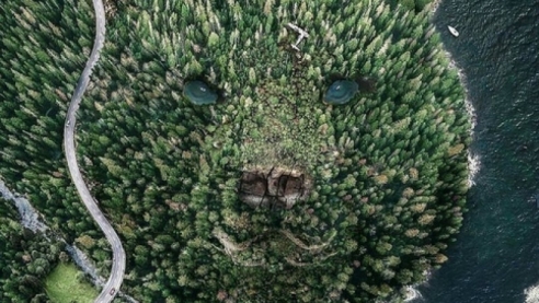 Общественное движение "Родной Лес"