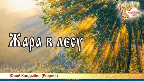 Жара в лесу 