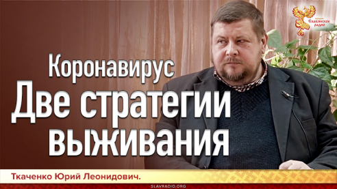 Коронавирус. Две стратегии выживания.