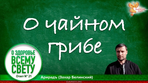 О чайном грибе. Выпуск 21